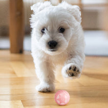 Load image into Gallery viewer, Star Smart Cat Toys with Light Automatic Rolling Ball Electric Cat Interactive Toys Cats Training Self-moving Kitten Toys for Indoor Playing
