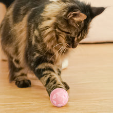 Load image into Gallery viewer, Star Smart Cat Toys with Light Automatic Rolling Ball Electric Cat Interactive Toys Cats Training Self-moving Kitten Toys for Indoor Playing
