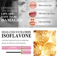 Load image into Gallery viewer, Lipstick Lip Enriching Lotion Moisturizes Increases Fullness Moisturizes Lip Enriching Liquid Anti-wrinkle Anti-cracking Labial Fluid

