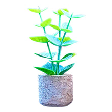 Load image into Gallery viewer, 3D Artificial Plants Shape Aromatherapy Vent Car Air Freshener Ornaments Car Air Outlet Diffuser Perfume Clip Car Decor Accessories
