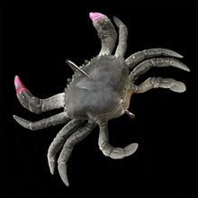 Load image into Gallery viewer, 10CM/40G Simulation Single Hook Crab Bait Deep Sea Fishing Long Cast Bottom Luminous Lure Bionic Bait Fishing Accessories
