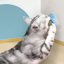 Load image into Gallery viewer, Cat Mint Ball Rotating Ball Wall Cat Toy Accessories for Cats Games Catnip Licking Snacks Mint Freshen Breath Pet Supplies

