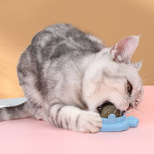 Load image into Gallery viewer, Cat Mint Ball Rotating Ball Wall Cat Toy Accessories for Cats Games Catnip Licking Snacks Mint Freshen Breath Pet Supplies
