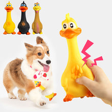 Load image into Gallery viewer, Bite Resistant Pet Screaming Chicken Sound Toy Dog Chewing Squeaky Toy Pet Teeth Training Molar Toys Dog Chew Toy with Squeaker
