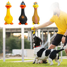 Load image into Gallery viewer, Bite Resistant Pet Screaming Chicken Sound Toy Dog Chewing Squeaky Toy Pet Teeth Training Molar Toys Dog Chew Toy with Squeaker
