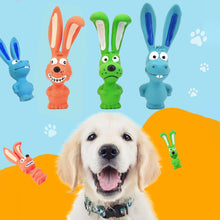 Load image into Gallery viewer, Bite Resistant Pet Dog Toy Dog Chewing Squeaky Toy Press Sound Squeak Pet Teeth Training Molar Toys Dog Chew Toy with Squeaker
