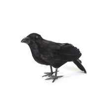 Load image into Gallery viewer, Halloween Black Crow Ornament Simulation Crow Animal Model Bird Scary Toys Horror Props Home Garden Decoration
