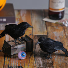Load image into Gallery viewer, Halloween Black Crow Ornament Simulation Crow Animal Model Bird Scary Toys Horror Props Home Garden Decoration
