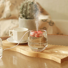 Load image into Gallery viewer, Mini Car USB Petal Shape Air Humidifier Ultrasonic Aromatherapy Humidifiers Diffusers For Home Winter Purifier Humificador
