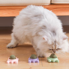 Load image into Gallery viewer, Tortoise Shape Cat Mint Ball Rotating Ball Wall Cat Toy Accessories for Cats Games Catnip Licking Snacks Mint Freshen Breath Pet Supplies

