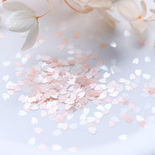 Load image into Gallery viewer, 12 Grids 3D Acrylic Flower Nail Sequins Decoration Mixed Beautiful Light Cherry Blossom Petals Nail Art Supplies Professional Accessories
