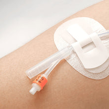 Load image into Gallery viewer, Catheter Fixation Stickers Universal Catheter Fixing Stickers Double Lumen Drainage Catheter Fixing Patches
