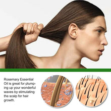 Load image into Gallery viewer, Rosemary Hair Care Essential Oil Nourishing Hair Roots Fixing Hair Moisturizing Repairing Hair Growth Liquid Hair Care
