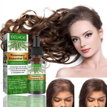 Load image into Gallery viewer, Rosemary Hair Care Essential Oil Nourishing Hair Roots Fixing Hair Moisturizing Repairing Hair Growth Liquid Hair Care
