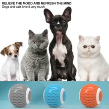 Load image into Gallery viewer, Smart Cat Toys with Light Automatic Rolling Ball Electric Cat Interactive Toys Cats Training Self-moving Kitten Toys for Indoor Playing
