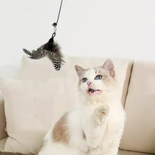 Load image into Gallery viewer, 5pcs Feather Pendant with Bell DIY Replace Cat Teaser Stick Replacement Pendant Pet Toy Accessories
