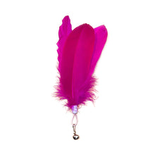 Load image into Gallery viewer, Wide Large Feather Pendant with Bell DIY Replace Cat Teaser Stick Replacement Pendant Pet Toy Accessories
