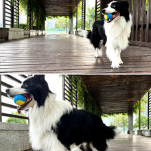 Load image into Gallery viewer, Pet Dog Interactive Ball Toy Squeaky Bite Resistant Chewing Balls Toy TPR Training Fetching Balls Molar Toys Pet Supplies
