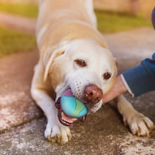 Load image into Gallery viewer, Pet Dog Interactive Ball Toy Bite Resistant Chewing Balls Toy TPR Training Fetching Balls Molar Toys Pet Supplies
