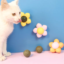 Load image into Gallery viewer, Cat Catnip Toys Ball Cat Treats Candy Licking Snacks Catnip Snack Self Cleaning Teeth Grinding Ball Toy Cat Supplies Pet Cleaning Tool
