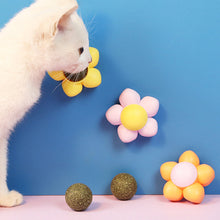 Load image into Gallery viewer, Cat Catnip Toys Ball Cat Treats Candy Licking Snacks Catnip Snack Self Cleaning Teeth Grinding Ball Toy Cat Supplies Pet Cleaning Tool
