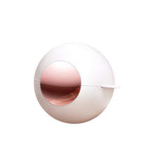 Load image into Gallery viewer, Lint Roller Hair Remover Reusable Viscous Hair Removal Upgrading Reusable Lint Rollers Sticky Roller Ball Reusable Remover

