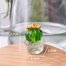 Load image into Gallery viewer, Car Accessories Transparent Crystal Cactus Auto Center Console Ornaments Desktop Dolls Small Gifts Cake Auto Decorations Toys
