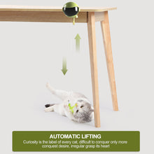 Load image into Gallery viewer, Automatic Electric Cat Teaser Toy Up Down Interactive Trainning Toy Pet Cats Feather Furball Pendant Teaser Balls
