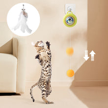 Load image into Gallery viewer, 1Pc Cat Hanging Interactive Toy Simulated Cat Catch Feather Toys Kitten Funny Elastic Teaser Rope Toy Training Toys Pet Daily Supplies
