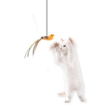 Load image into Gallery viewer, 1Pc Cat Hanging Interactive Toy Simulated Cat Catch Feather Toys Kitten Funny Elastic Teaser Rope Toy Training Toys Pet Daily Supplies
