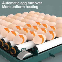 Load image into Gallery viewer, 1Pc Egg Incubator Fully Automatic Turning Hatching Brooder Farm Bird Quail Chicken Poultry Farm Hatcher Turner Incubation Tool
