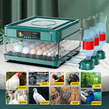 Load image into Gallery viewer, 1Pc Egg Incubator Fully Automatic Turning Hatching Brooder Farm Bird Quail Chicken Poultry Farm Hatcher Turner Incubation Tool
