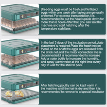 Load image into Gallery viewer, 1Pc Egg Incubator Fully Automatic Turning Hatching Brooder Farm Bird Quail Chicken Poultry Farm Hatcher Turner Incubation Tool
