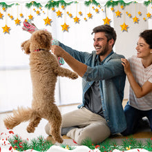 Load image into Gallery viewer, Puppy Christmas Gift Pet Cotton Chew Rope Knot Toy Dog Cleaning Teeth Bite-Resistant Dog Bite Toy Dog Supplies for Xmas New Year Gift
