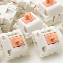 Load image into Gallery viewer, Holy Panda Tactile Keyboard Switch 3 Pin 55g 62g 67g POM Axis Mechanical Keyboard Custom Switches Hot Plug DIY GK61 TM680 Anne 2
