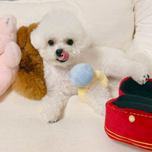 Load image into Gallery viewer, Creative Plush Engagement Ring Toy Pet Stuffed Diamond Ring Toy Squeaky Chew Molar Toys Soft Chewing Toys Pet Supplies

