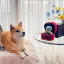 Load image into Gallery viewer, Creative Plush Engagement Ring Toy Pet Stuffed Diamond Ring Toy Squeaky Chew Molar Toys Soft Chewing Toys Pet Supplies
