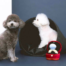 Load image into Gallery viewer, Creative Plush Engagement Ring Toy Pet Stuffed Diamond Ring Toy Squeaky Chew Molar Toys Soft Chewing Toys Pet Supplies
