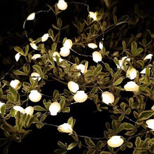 Load image into Gallery viewer, Ocean Series Seashells String Light Hanging Lamp Decorative For Party Wedding Christmas Decor Xmas Tree Ornament Holiday Lighting
