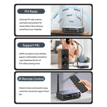Load image into Gallery viewer, NFC Bluetooth 5.1 Audio Receiver Transmitter Coaxial RCA Wireless Bass Treble Music Adapter FM Radio U Disk/TF Card Player
