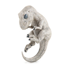 Load image into Gallery viewer, Baby Dinosaur Model Kids Simulation Jurassic World Dinosaur Model Children Tyrannosaurus Raptor Baby Ornament Collection Toys
