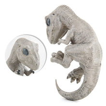 Load image into Gallery viewer, Baby Dinosaur Model Kids Simulation Jurassic World Dinosaur Model Children Tyrannosaurus Raptor Baby Ornament Collection Toys
