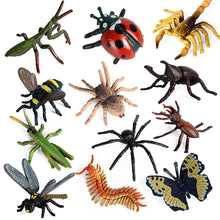 Load image into Gallery viewer, 6pcs/set Simulation Insect Model Mini Insect Butterfly Ladybug Spider Kids Educational Toys Action Figures Insect Model Collection Gifts
