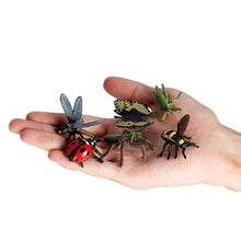 Load image into Gallery viewer, 6pcs/set Simulation Insect Model Mini Insect Butterfly Ladybug Spider Kids Educational Toys Action Figures Insect Model Collection Gifts
