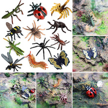 Load image into Gallery viewer, 6pcs/set Simulation Insect Model Mini Insect Butterfly Ladybug Spider Kids Educational Toys Action Figures Insect Model Collection Gifts
