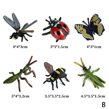 Load image into Gallery viewer, 6pcs/set Simulation Insect Model Mini Insect Butterfly Ladybug Spider Kids Educational Toys Action Figures Insect Model Collection Gifts
