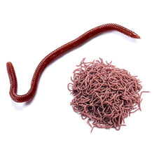 Load image into Gallery viewer, 1Bag/50PCS 4/8CM Artificial Earthworm Bait Sea Fishing Lure Silicone Soft Bait For Carp Trout Bass Fishing Accessories
