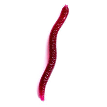 Load image into Gallery viewer, 1Bag/50PCS 4/8CM Artificial Earthworm Bait Sea Fishing Lure Silicone Soft Bait For Carp Trout Bass Fishing Accessories

