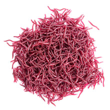 Load image into Gallery viewer, 1Bag/50PCS 4/8CM Artificial Earthworm Bait Sea Fishing Lure Silicone Soft Bait For Carp Trout Bass Fishing Accessories
