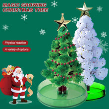 Load image into Gallery viewer, Magic Growing Christmas Tree DIY Xmas Gifts Toy for Adults Kids 15cm Mini Growing Cherry Blossom Tree Christmas Gifts Party Decor
